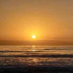 Torrey Pines State Natural Reserve - San Diego