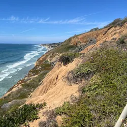 Torrey Pines State Natural Reserve - San Diego