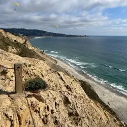 Torrey Pines State Natural Reserve - San Diego