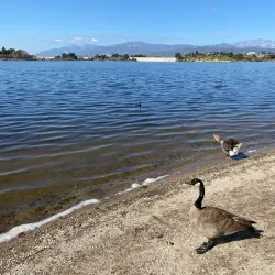 Frank G. Bonelli Regional Park - San Dimas