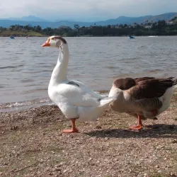 Frank G. Bonelli Regional Park - San Dimas