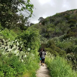 San Dimas Canyon Park - San Dimas