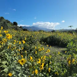 San Dimas Canyon Park - San Dimas