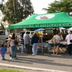 San Dimas Farmers Market - San Dimas