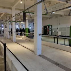 Alcatraz Island - San Francisco