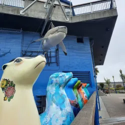 Fisherman's Wharf - San Francisco