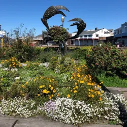 Fisherman's Wharf - San Francisco