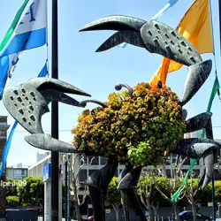 Fisherman's Wharf - San Francisco