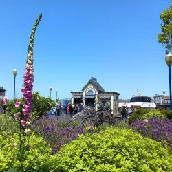 Fisherman's Wharf - San Francisco