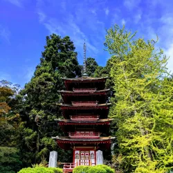 Golden Gate Park - San Francisco