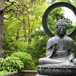 Golden Gate Park - San Francisco