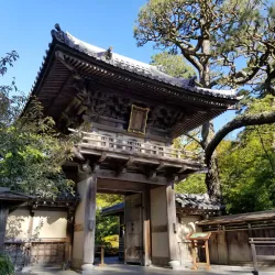 Golden Gate Park - San Francisco