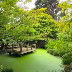 Golden Gate Park - San Francisco