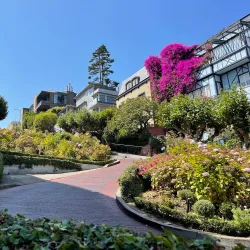 Lombard Street - San Francisco