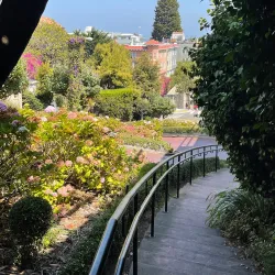 Lombard Street - San Francisco
