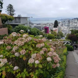 Lombard Street - San Francisco