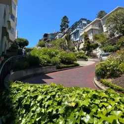 Lombard Street - San Francisco