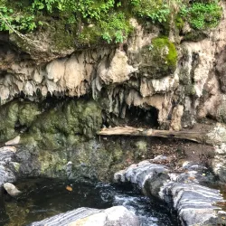 Alum Rock Park - San Jose