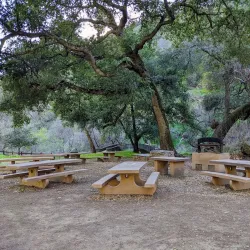 Alum Rock Park - San Jose