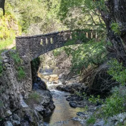 Alum Rock Park - San Jose