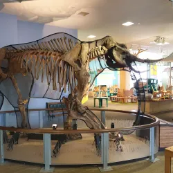 Children's Discovery Museum of San Jose - San Jose