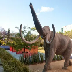 Children's Discovery Museum of San Jose - San Jose