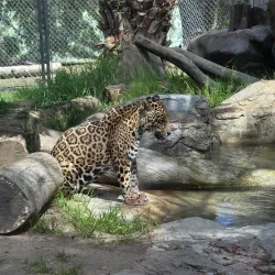 Happy Hollow Park & Zoo - San Jose