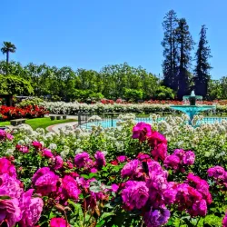 Municipal Rose Garden - San Jose