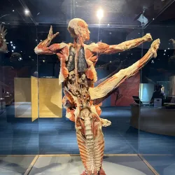 The Tech Interactive - San Jose