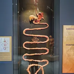 The Tech Interactive - San Jose