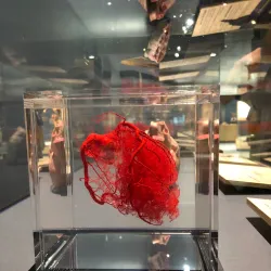 The Tech Interactive - San Jose