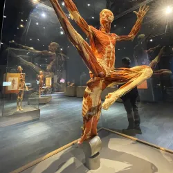 The Tech Interactive - San Jose