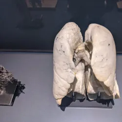 The Tech Interactive - San Jose