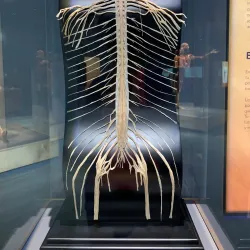 The Tech Interactive - San Jose