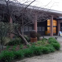 Chabot-Las Positas Community College Arboretum - San Leandro