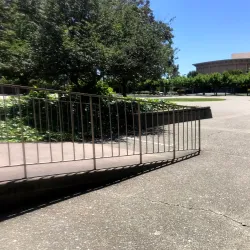 Chabot-Las Positas Community College Arboretum - San Leandro