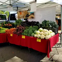San Leandro Farmers' Market - San Leandro