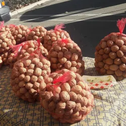 San Leandro Farmers' Market - San Leandro
