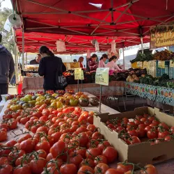 San Leandro Farmers' Market - San Leandro