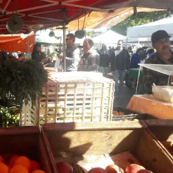 San Leandro Farmers' Market - San Leandro
