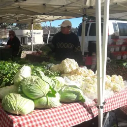San Leandro Farmers' Market - San Leandro