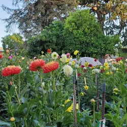 San Leandro History Museum - San Leandro