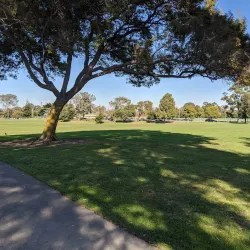 San Leandro Marina Park - San Leandro