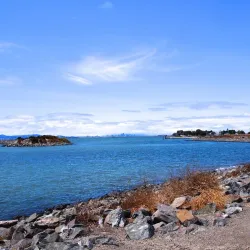 San Leandro Marina Park - San Leandro