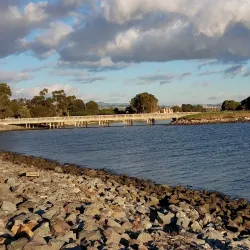 San Leandro Marina Park - San Leandro