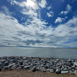 San Leandro Marina Park - San Leandro