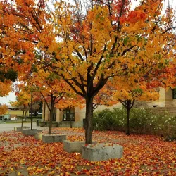 San Leandro Public Library - San Leandro