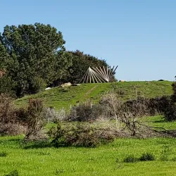 San Leandro Shoreline Park - San Leandro