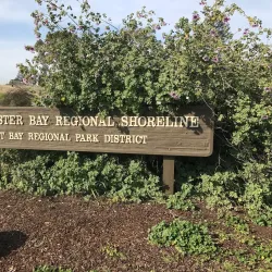 San Leandro Shoreline Park - San Leandro