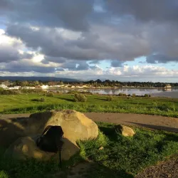 San Leandro Shoreline Park - San Leandro